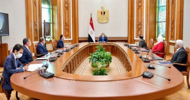 الرئيس السيسي يتابع منظومة دعم وحماية الفنانين وتطوير هيئة التأمين الاجتماعى