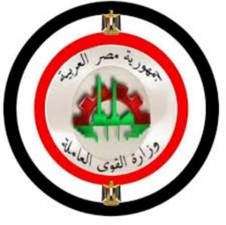 القوى العاملة: تعيين 695 شابا وفتاة بمنشآت القطاع الخاص والاستثماري بالمنيا