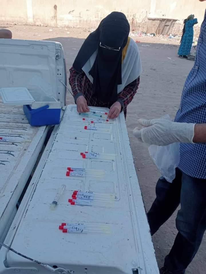 جهود مكثفة وحملات مستمرة على الأسواق للحفاظ على الثروة الداجنة ببيطري المنيا