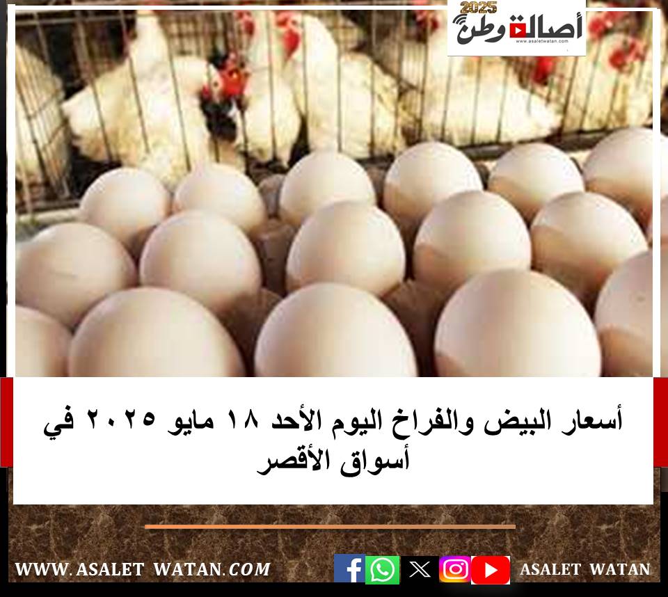 أسعار البيض والفراخ اليوم الأحد 18 مايو 2025 في أسواق الأقصر