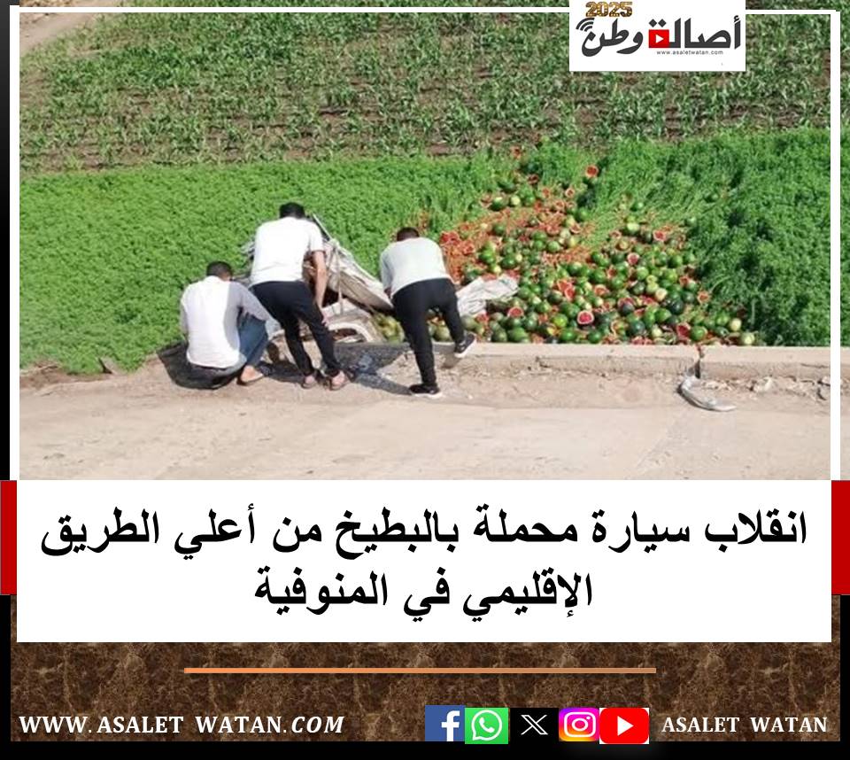 انقلاب سيارة محملة بالبطيخ من أعلي الطريق الإقليمي في المنوفية