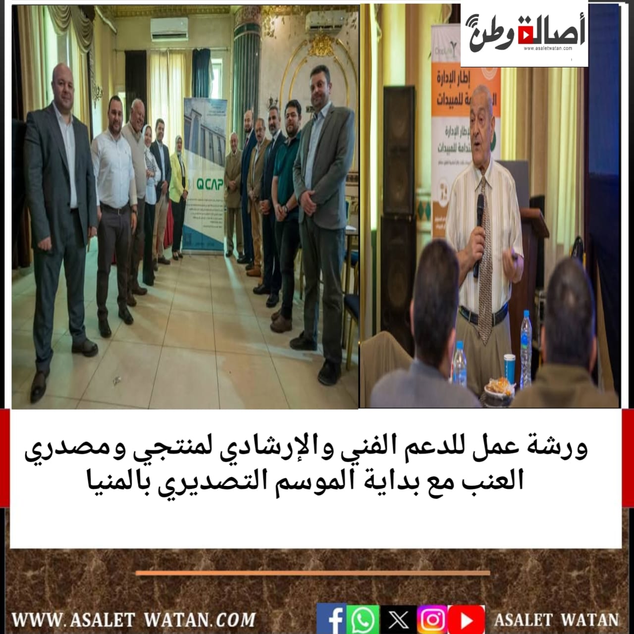 ورشة عمل للدعم الفني والإرشادي لمنتجي ومصدري العنب مع بداية الموسم التصديري بالمنيا