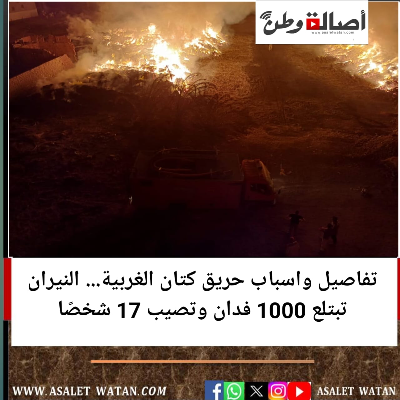 تفاصيل واسباب حريق كتان الغربية… النيران تبتلع 1000 فدان وتصيب 17 شخصًا