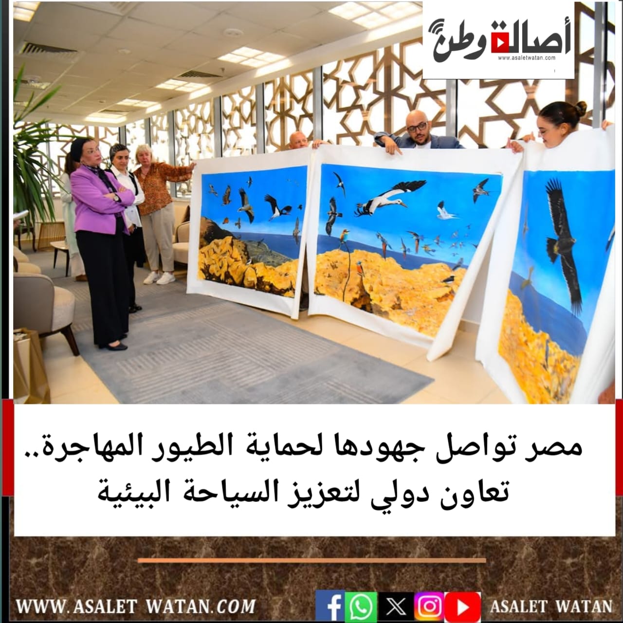 مصر تواصل جهودها لحماية الطيور المهاجرة.. تعاون دولي لتعزيز السياحة البيئية
