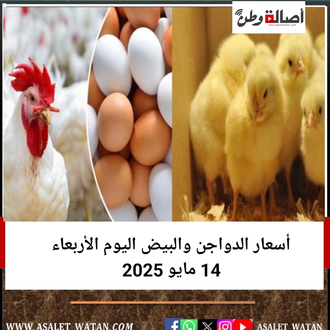 أسعار الدواجن والبيض اليوم الأربعاء 14 مايو 2025