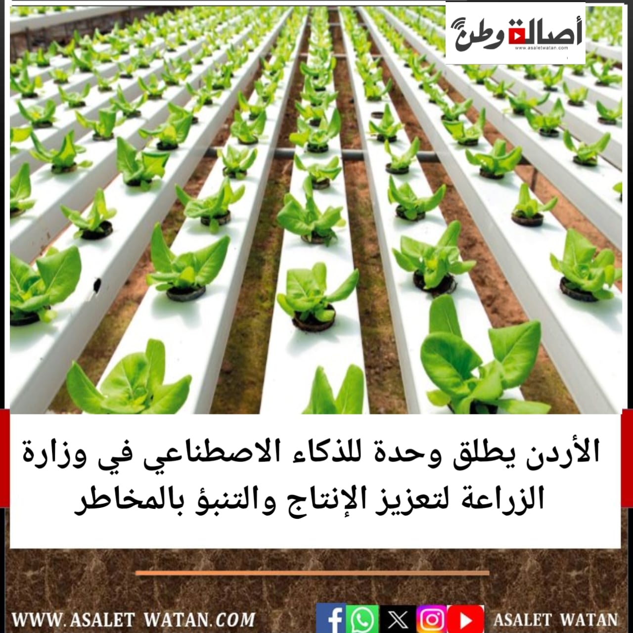 الأردن يطلق وحدة للذكاء الاصطناعي في وزارة الزراعة لتعزيز الإنتاج والتنبؤ بالمخاطر