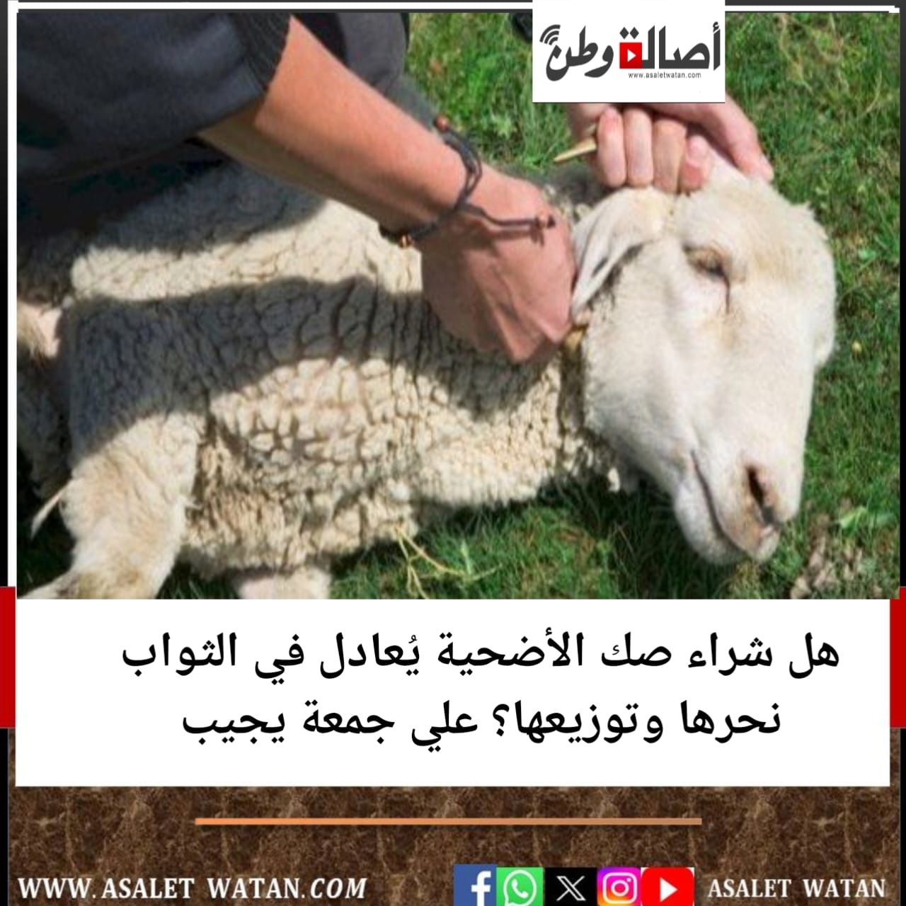 هل شراء صك الأضحية يُعادل في الثواب نحرها وتوزيعها؟ علي جمعة يجيب