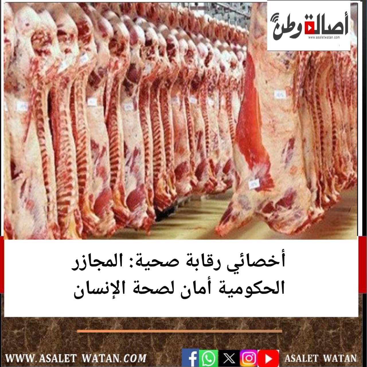 أخصائي رقابة صحية: المجازر الحكومية أمان لصحة الإنسان