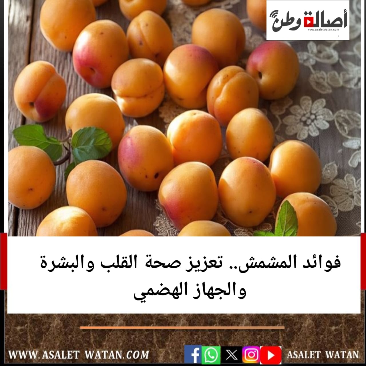 فوائد المشمش.. تعزيز صحة القلب والبشرة والجهاز الهضمي