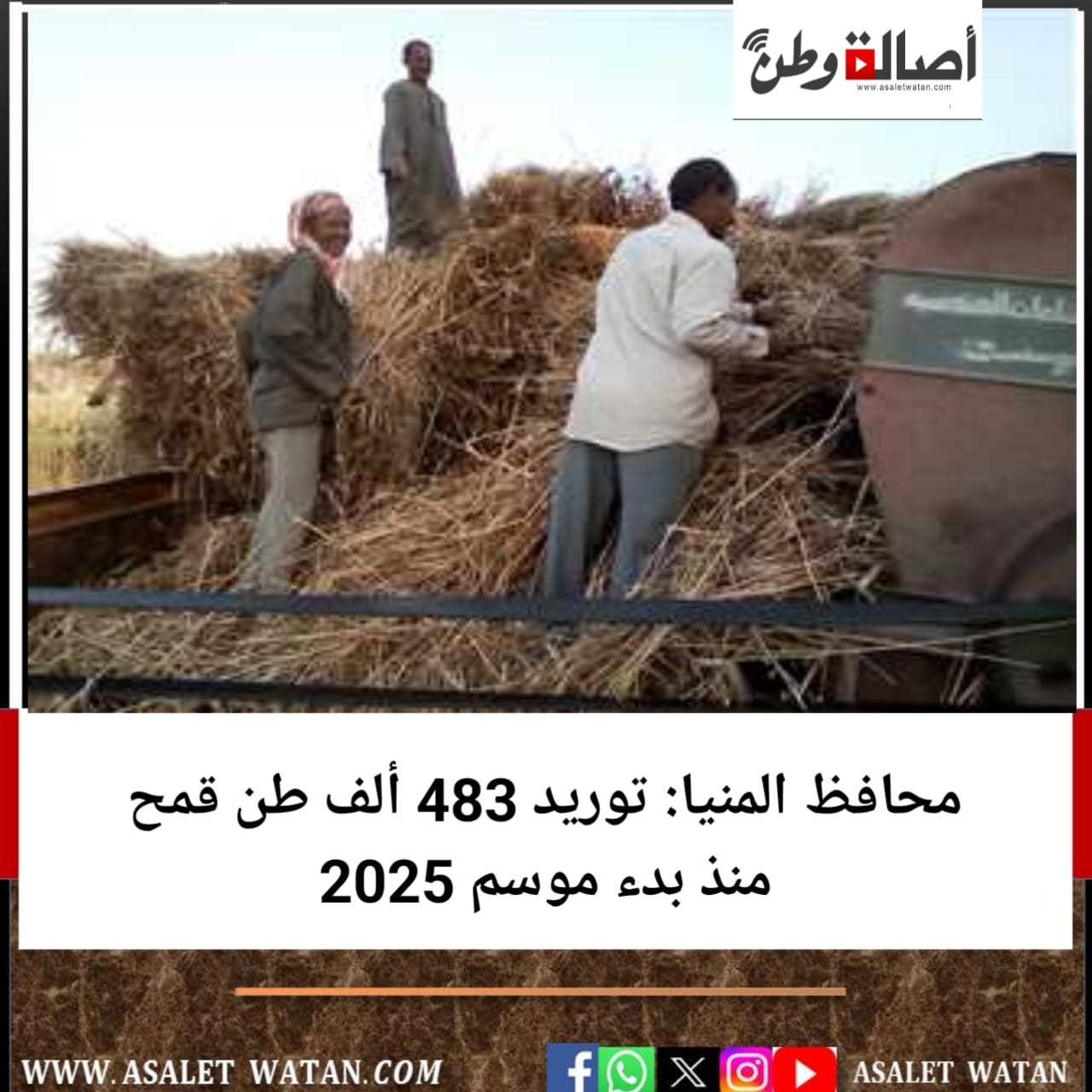محافظ المنيا: توريد 483 ألف طن قمح منذ بدء موسم 2025