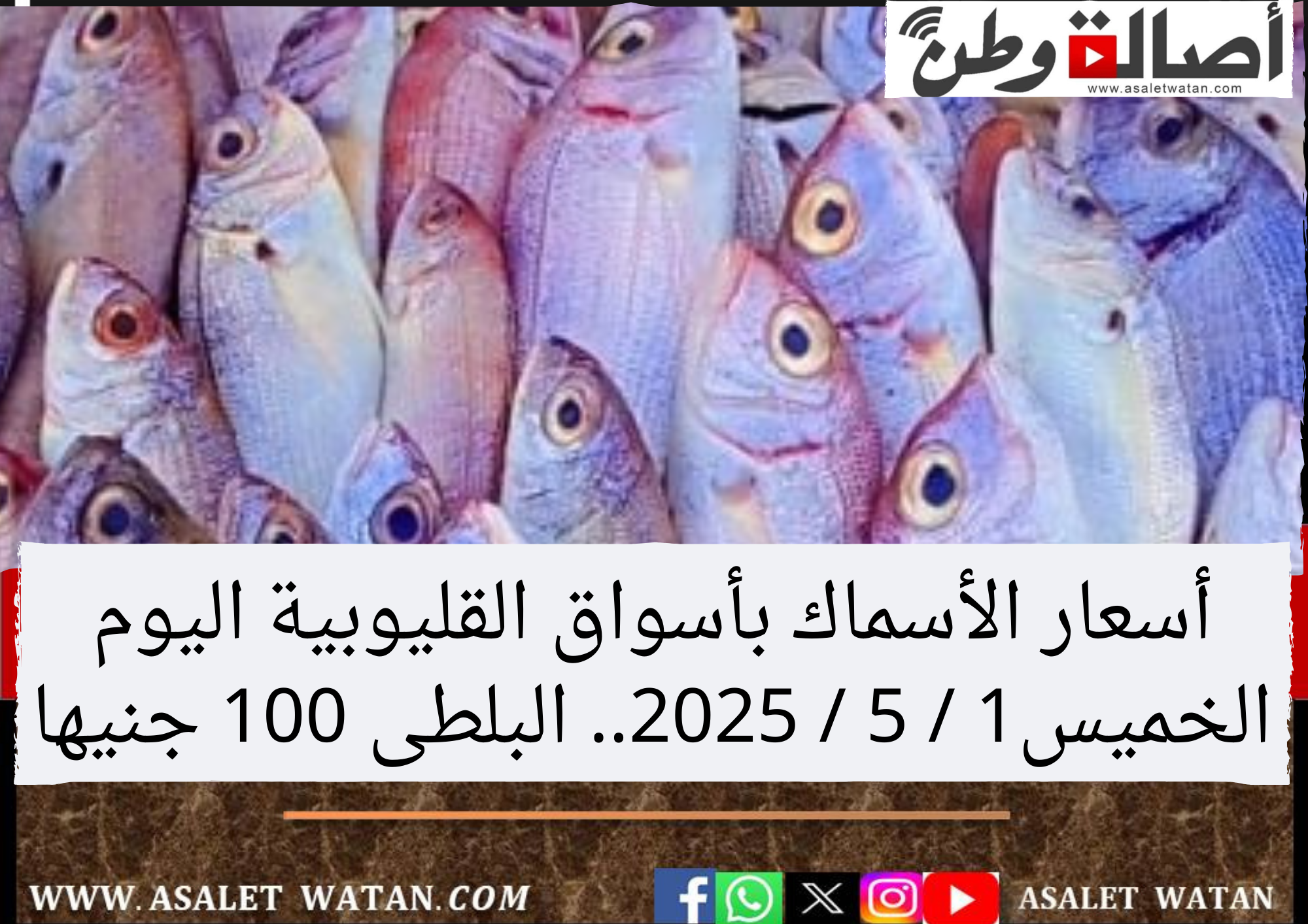 أسعار الأسماك بأسواق القليوبية اليوم الخميس1 / 5 / 2025.. البلطى 100 جنيها