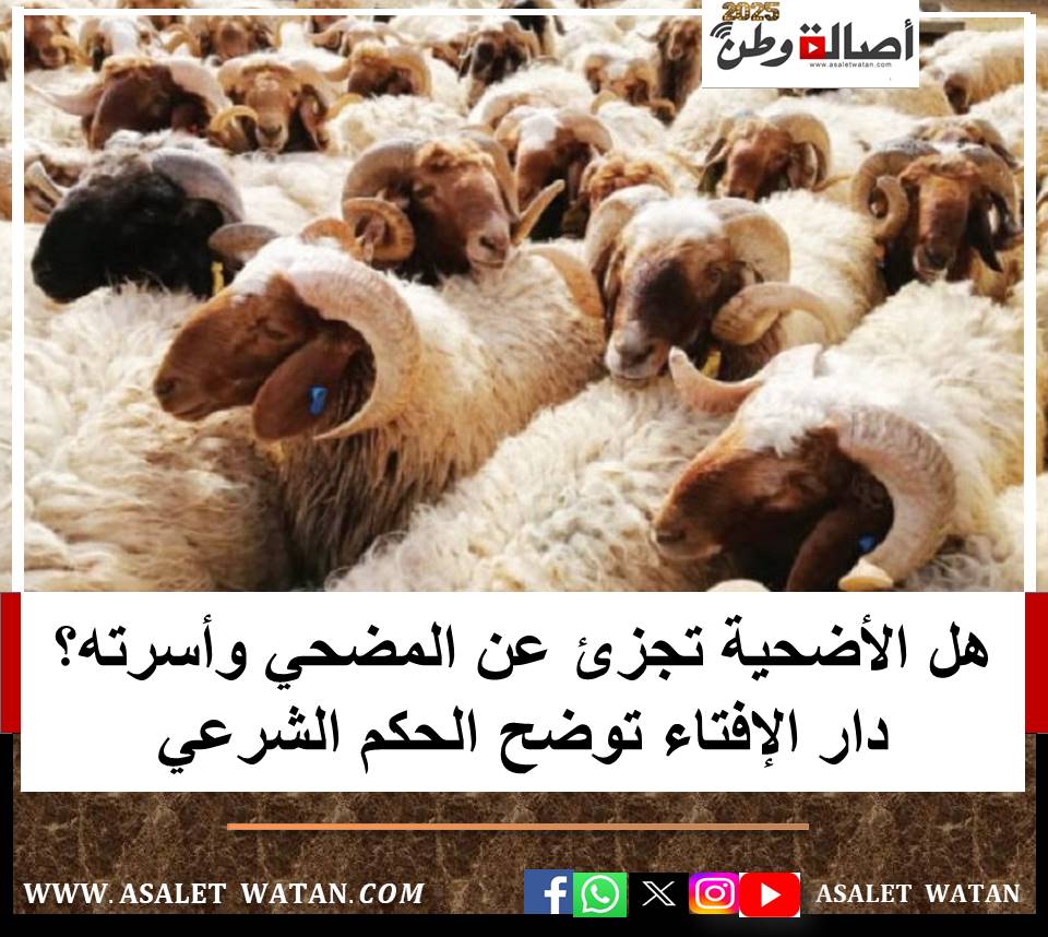 هل الأضحية تجزئ عن المضحي وأسرته؟ دار الإفتاء توضح الحكم الشرعي