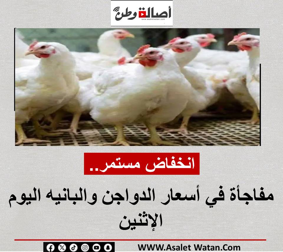 انخفاض مستمر.. مفاجأة في أسعار الدواجن والبانيه اليوم الإثنين