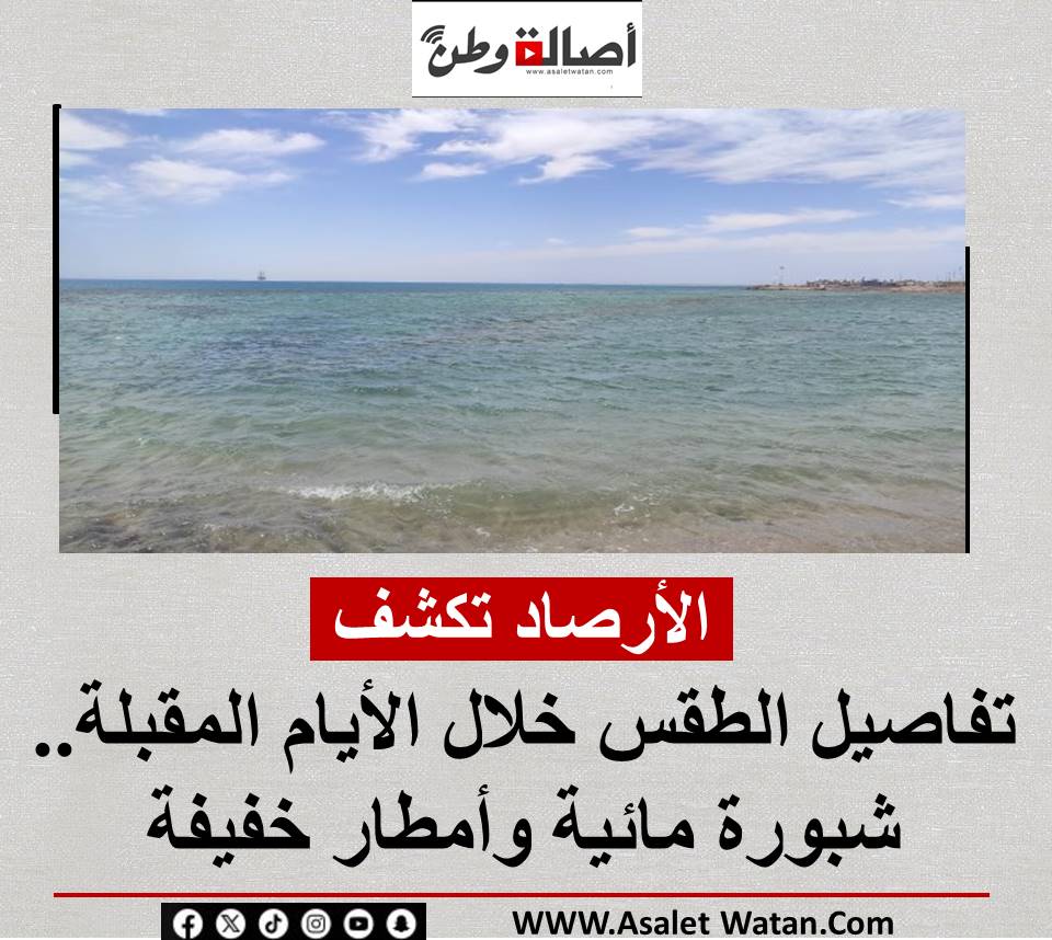 الأرصاد تكشف تفاصيل الطقس خلال الأيام المقبلة.. شبورة مائية وأمطار خفيفة