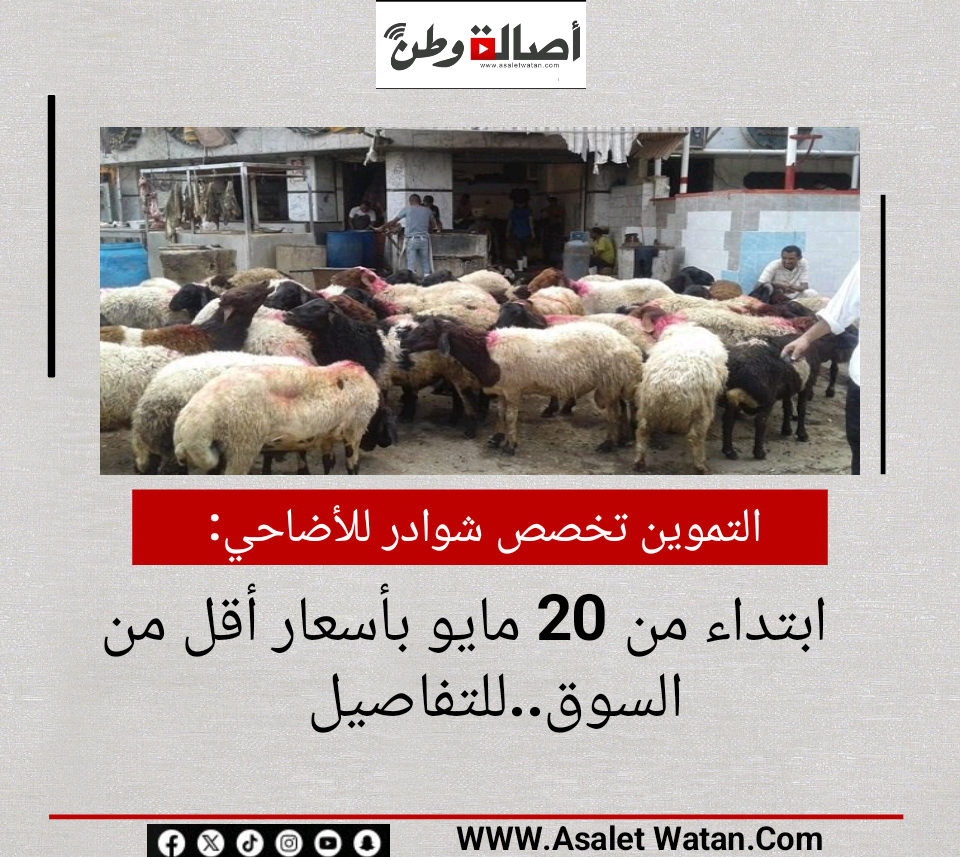 التموين تخصص شوادر للأضاحي ابتداء من 20 مايو بأسعار أقل من السوق..للتفاصيل