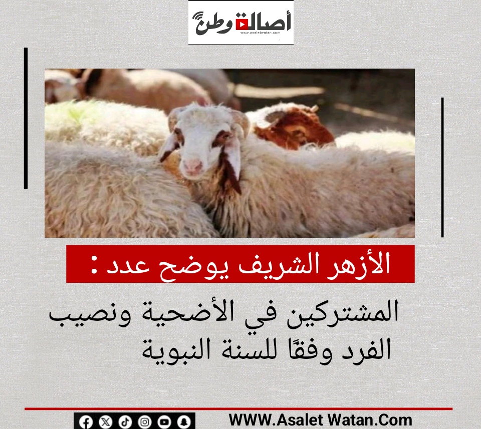 الأزهر الشريف يوضح عدد المشتركين في الأضحية ونصيب الفرد وفقًا للسنة النبوية