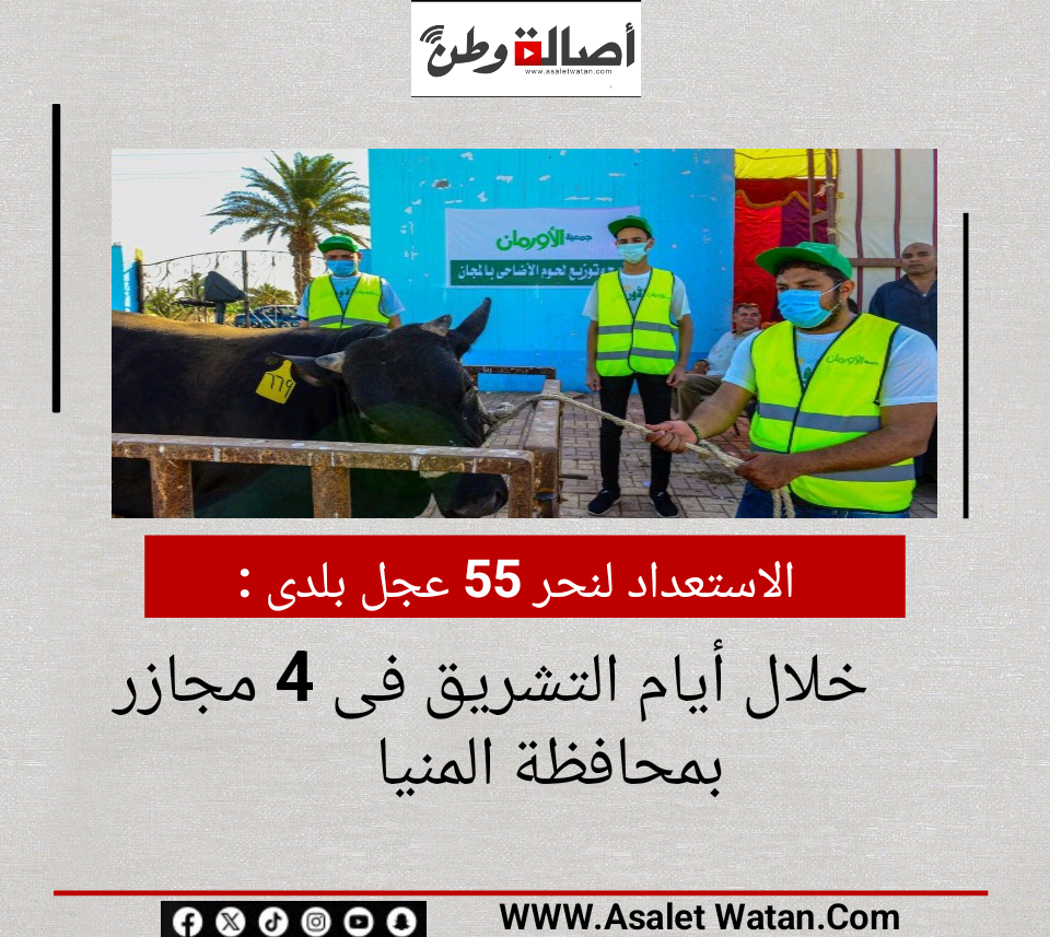 الاستعداد لنحر 55 عجل بلدى خلال أيام التشريق فى 4 مجازر بمحافظة المنيا