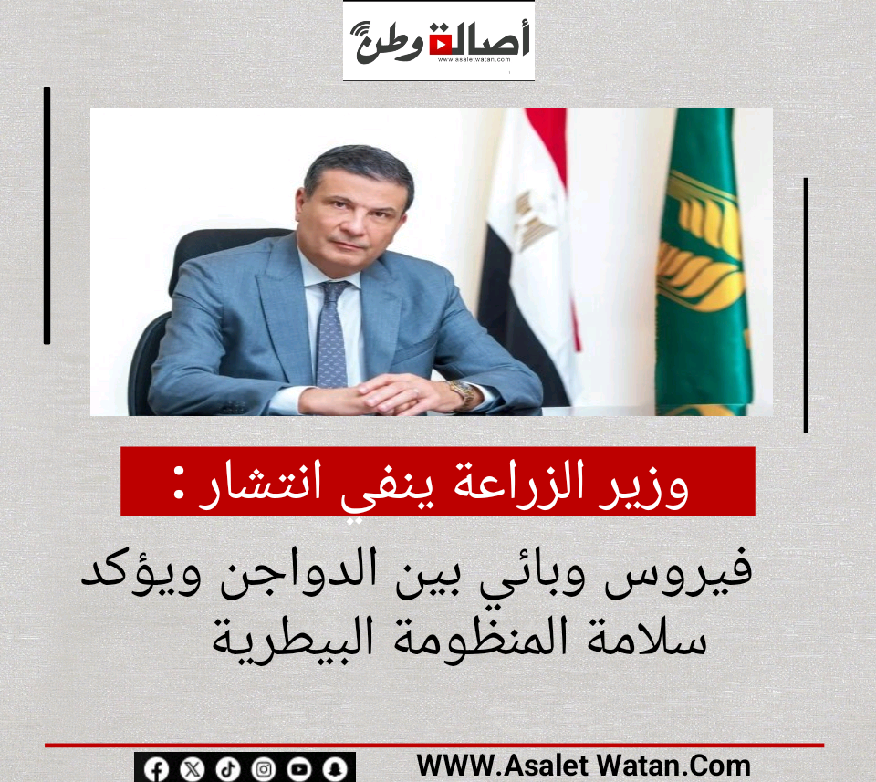 وزير الزراعة ينفي انتشار فيروس وبائي بين الدواجن ويؤكد سلامة المنظومة البيطرية