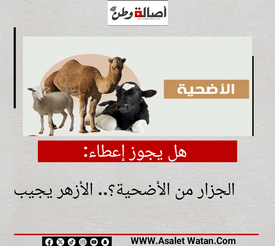 هل يجوز إعطاء الجزار من الأضحية؟.. الأزهر يجيب