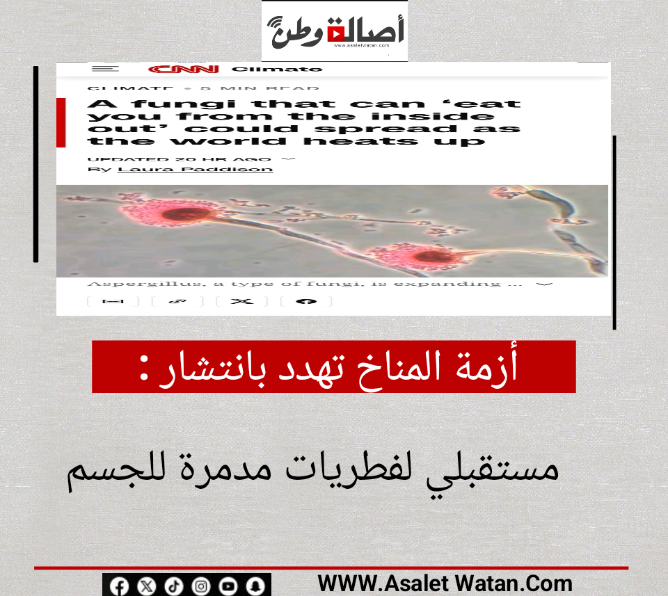 أزمة المناخ تهدد بانتشار مستقبلي لفطريات مدمرة للجسم