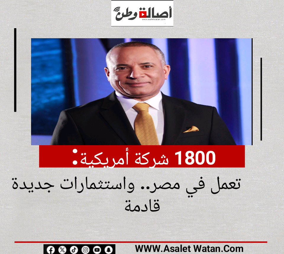 1800 شركة أمريكية تعمل في مصر.. واستثمارات جديدة قادمة