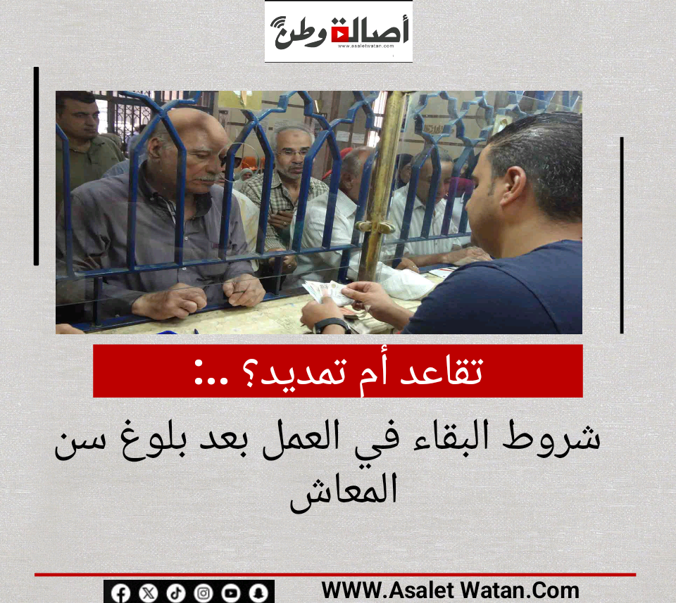 تقاعد أم تمديد؟ .. شروط البقاء في العمل بعد بلوغ سن المعاش