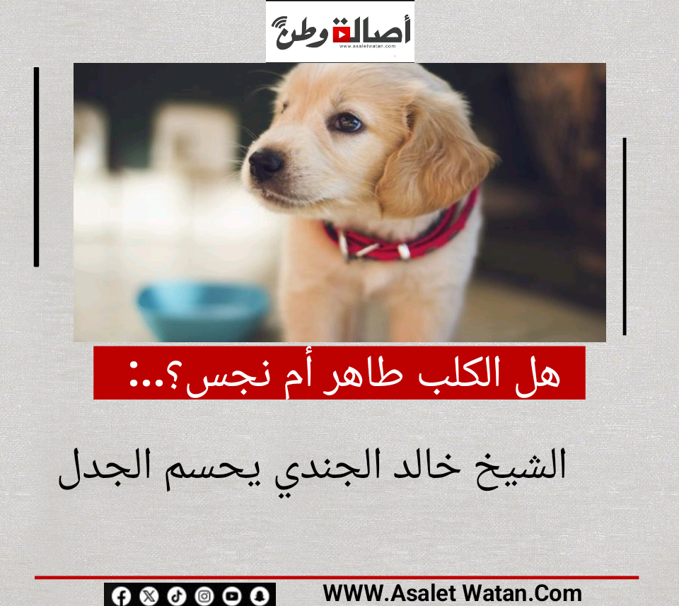 هل الكلب طاهر أم نجس؟.. الشيخ خالد الجندي يحسم الجدل