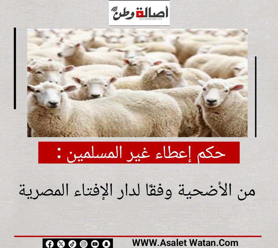 حكم إعطاء غير المسلمين من الأضحية وفقًا لدار الإفتاء المصرية