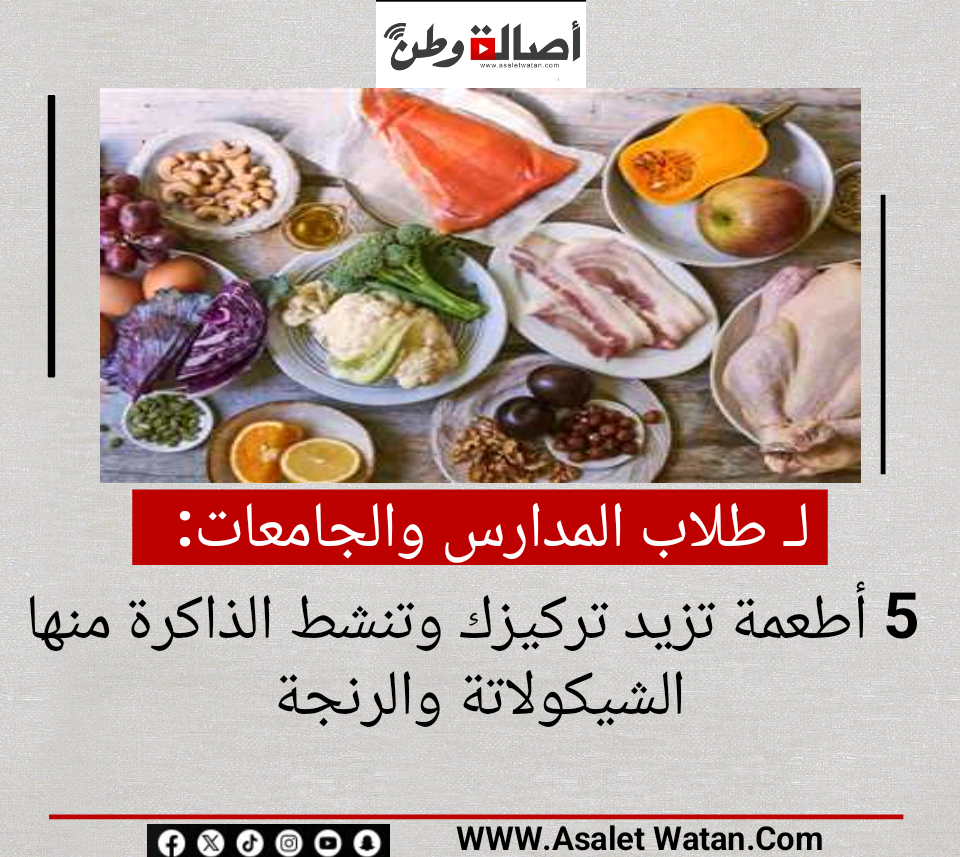 لـ طلاب المدارس والجامعات.. 5 أطعمة تزيد تركيزك وتنشط الذاكرة منها الشيكولاتة والرنجة