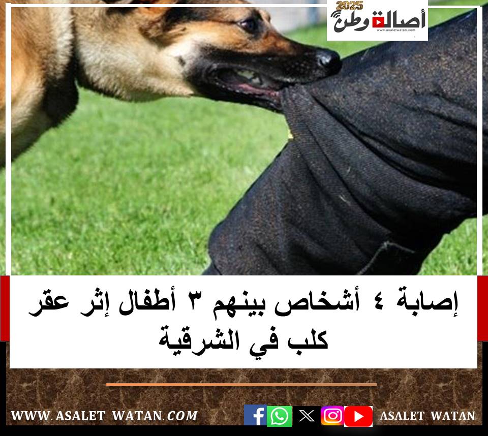 إصابة 4 أشخاص بينهم 3 أطفال إثر عقر كلب في الشرقية