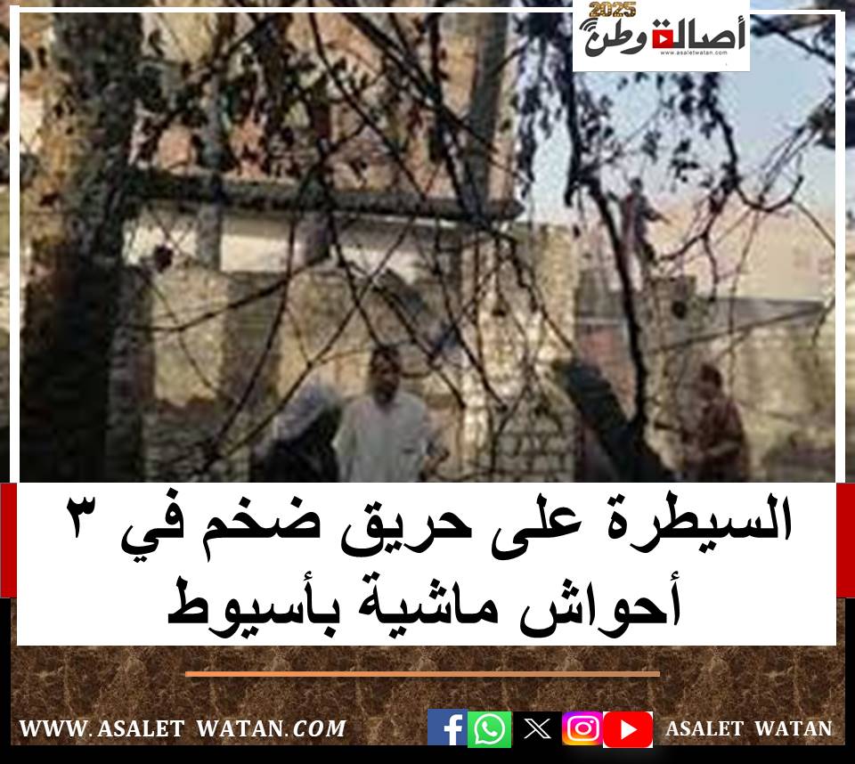 السيطرة على حريق ضخم في 3 أحواش ماشية بأسيوط