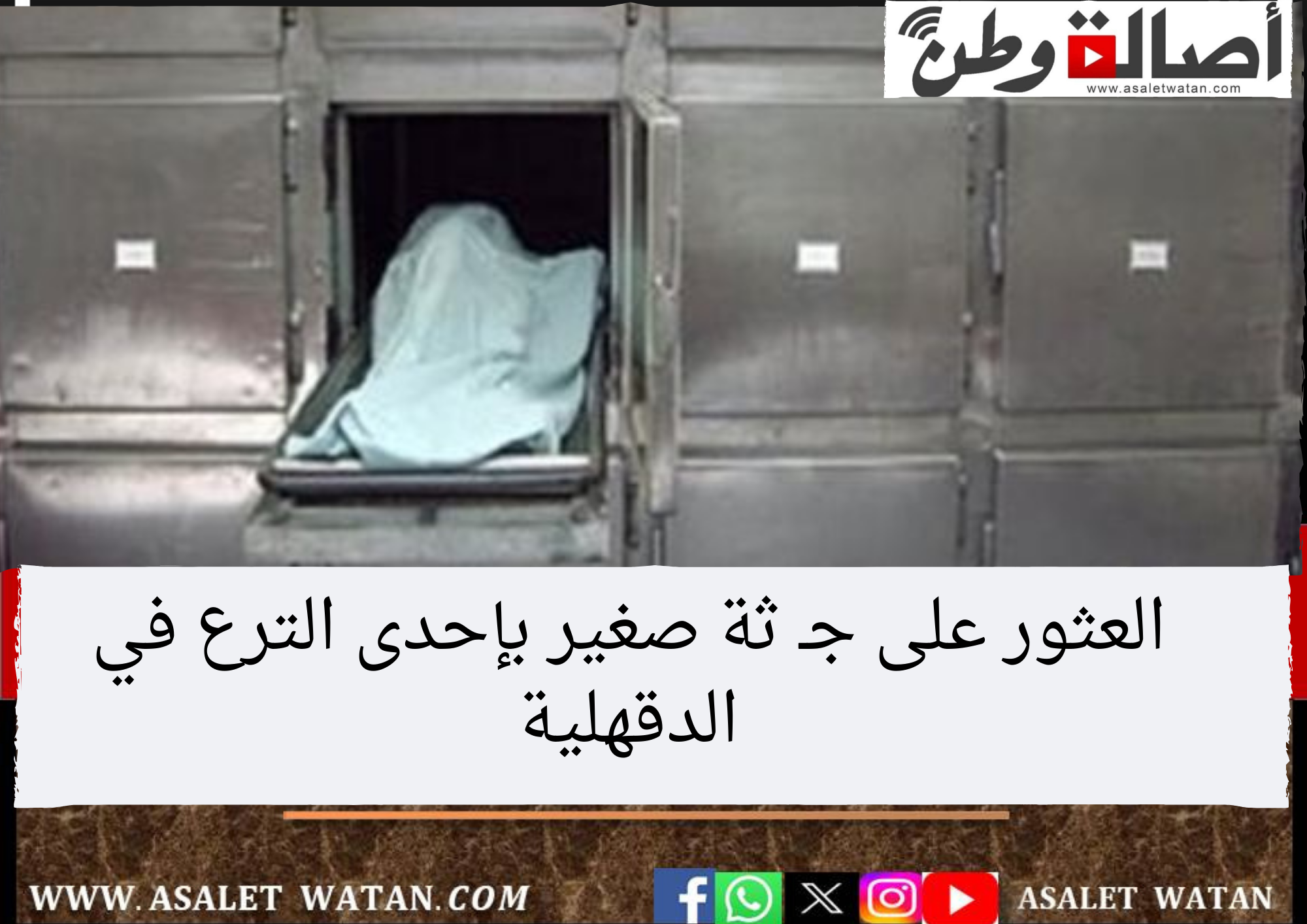 العثور على جـ ثة صغير بإحدى الترع في الدقهلية