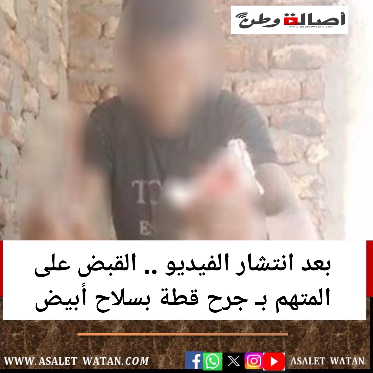 بعد انتشار الفيديو .. القبض على المتهم بـ جرح قطة بسلاح أبيض