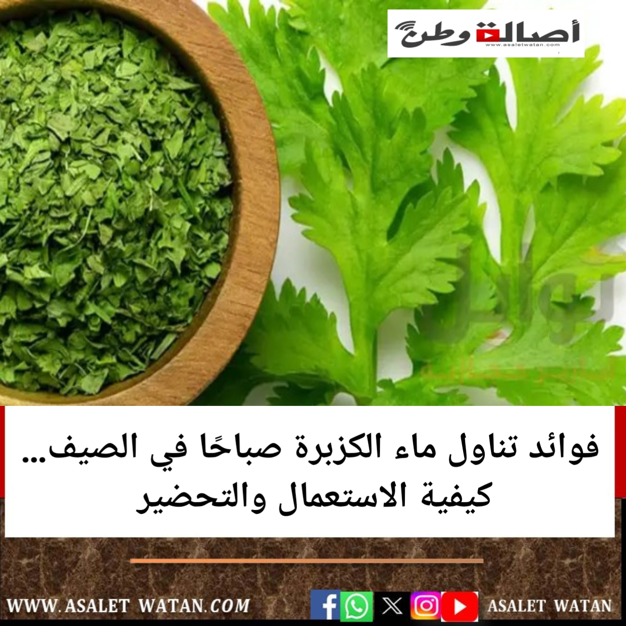 فوائد تناول ماء الكزبرة صباحًا في الصيف…كيفية الاستعمال والتحضير