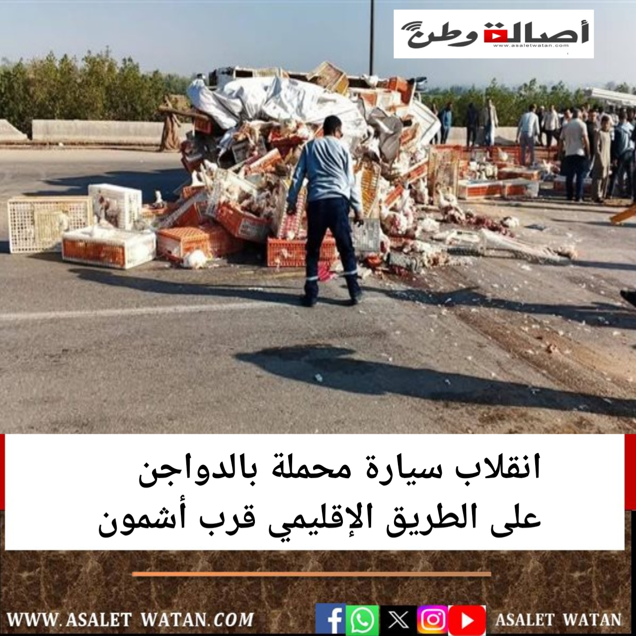 انقلاب سيارة محملة بالدواجن على الطريق الإقليمي قرب أشمون
