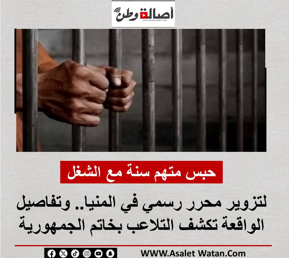 حبس متهم سنة مع الشغل لتزوير محرر رسمي في المنيا.. وتفاصيل الواقعة تكشف التلاعب بخاتم الجمهورية