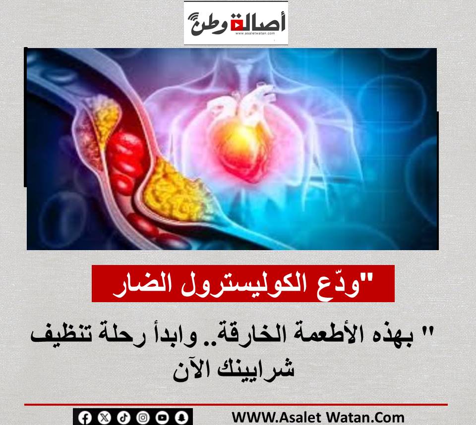 “ودّع الكوليسترول الضار” بهذه الأطعمة الخارقة.. وابدأ رحلة تنظيف شرايينك الآن