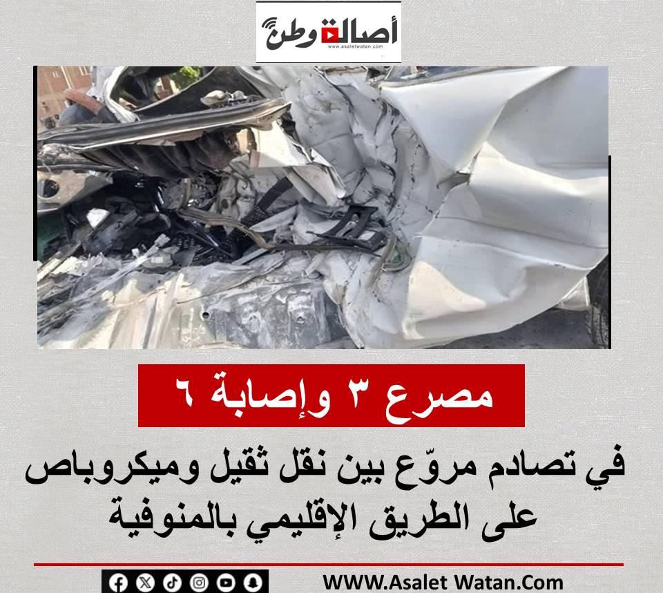 مصرع 3 وإصابة 6 في تصادم مروّع بين نقل ثقيل وميكروباص على الطريق الإقليمي بالمنوفية