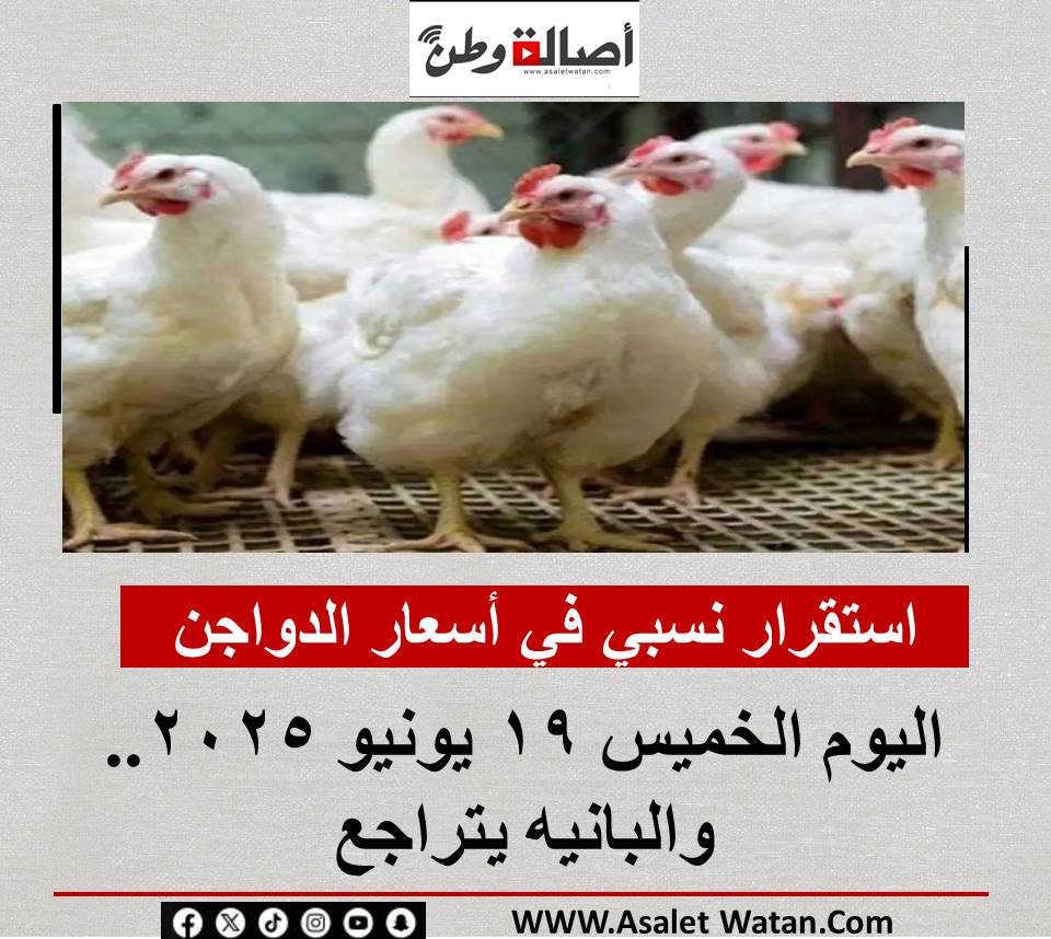 أسعار الدواجن اليوم الخميس 19 يونيو 2025.. والبانيه يتراجع