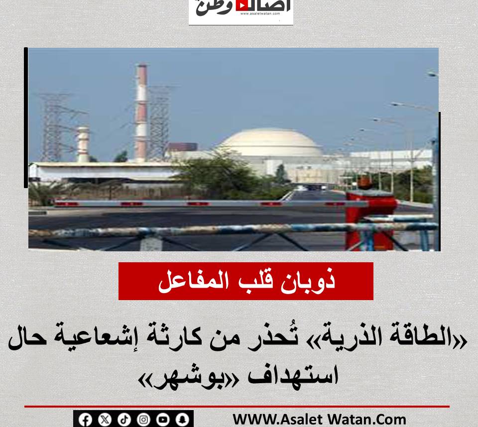 ذوبان قلب المفاعل».. «الطاقة الذرية» تُحذر من كارثة إشعاعية حال استهداف «بوشهر»