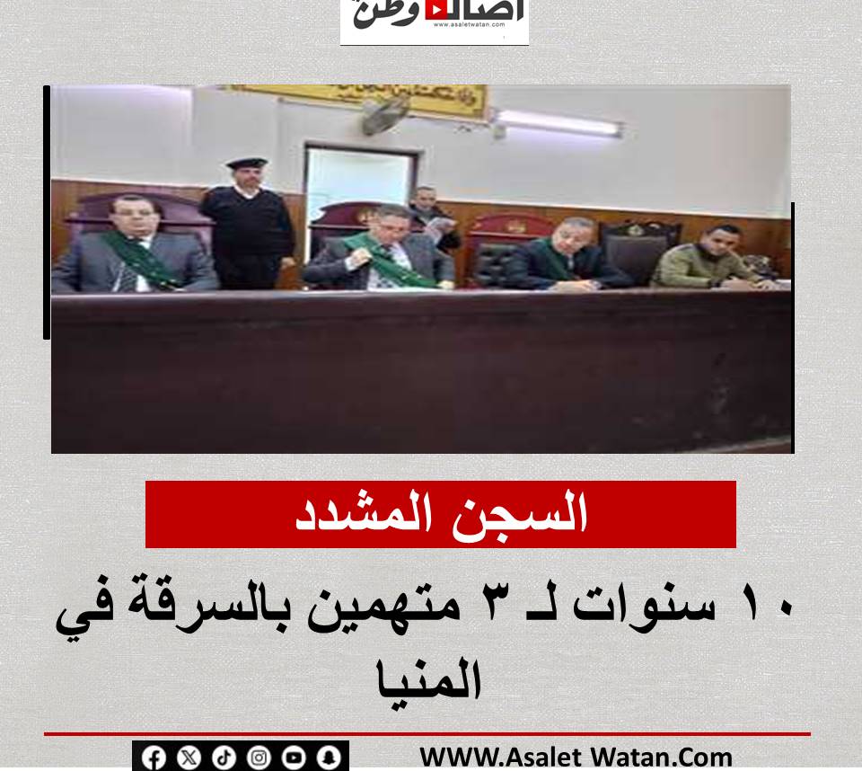 السجن المشدد 10 سنوات لـ 3 متهمين بالسرقة في المنيا