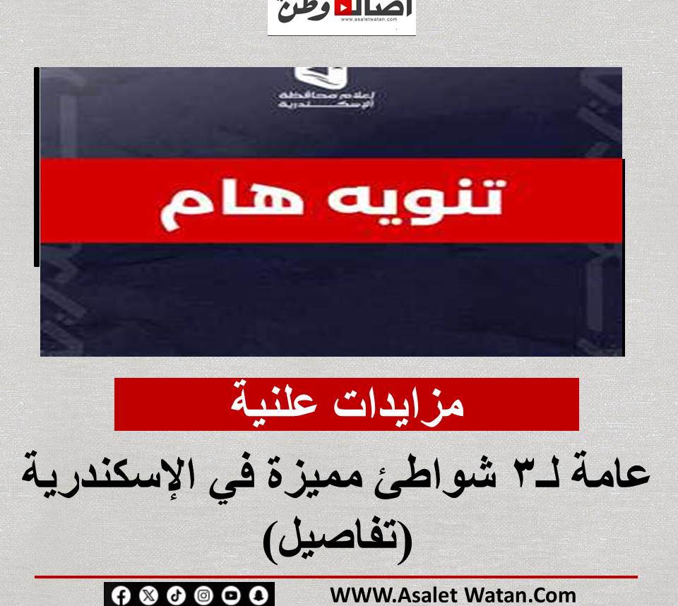 مزايدات علنية عامة لـ3 شواطئ مميزة في مزايدات علنية(تفاصيل)