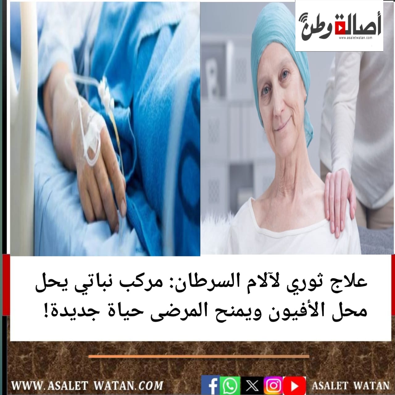 علاج ثوري لآلام السرطان: مركب نباتي يحل محل الأفيون ويمنح المرضى حياة جديدة!