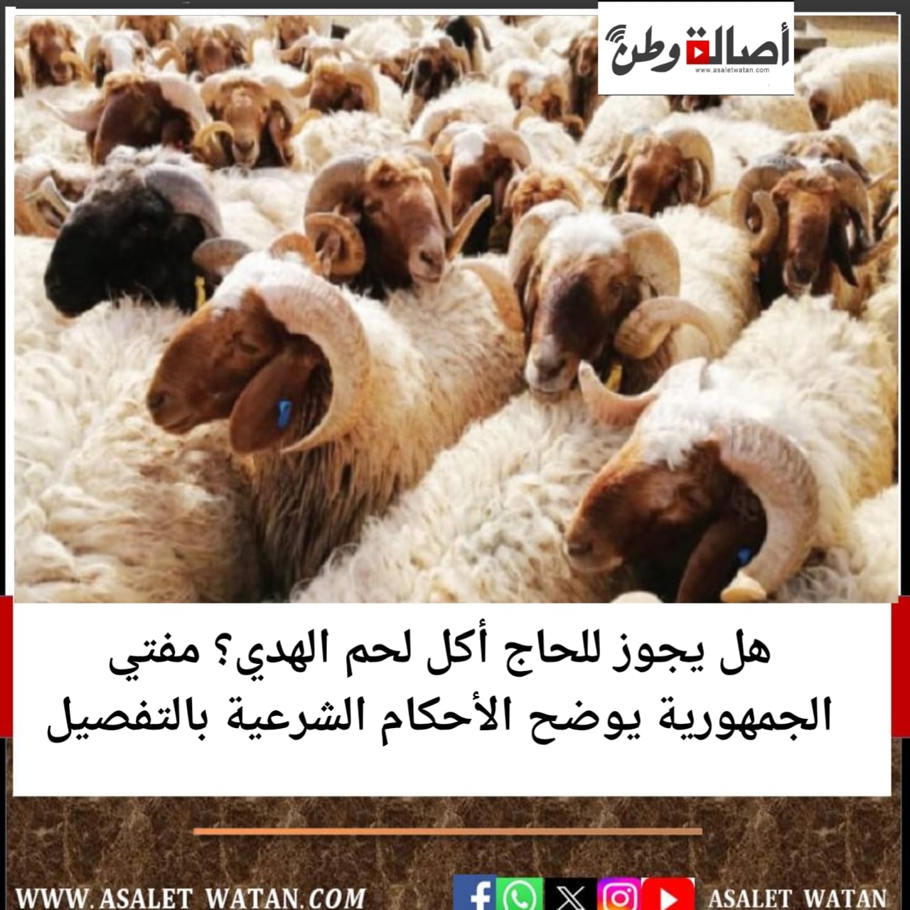 هل يجوز للحاج أكل لحم الهدي؟ مفتي الجمهورية يوضح الأحكام الشرعية بالتفصيل