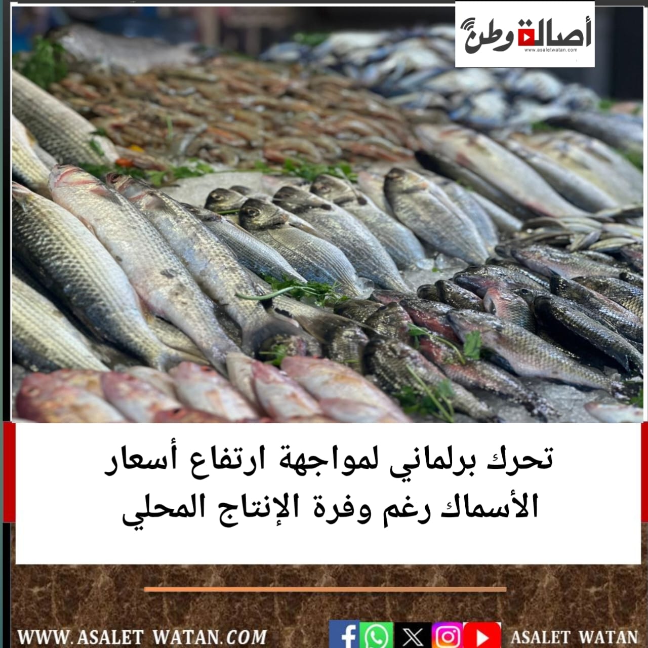 تحرك برلماني لمواجهة ارتفاع أسعار الأسماك رغم وفرة الإنتاج المحلي