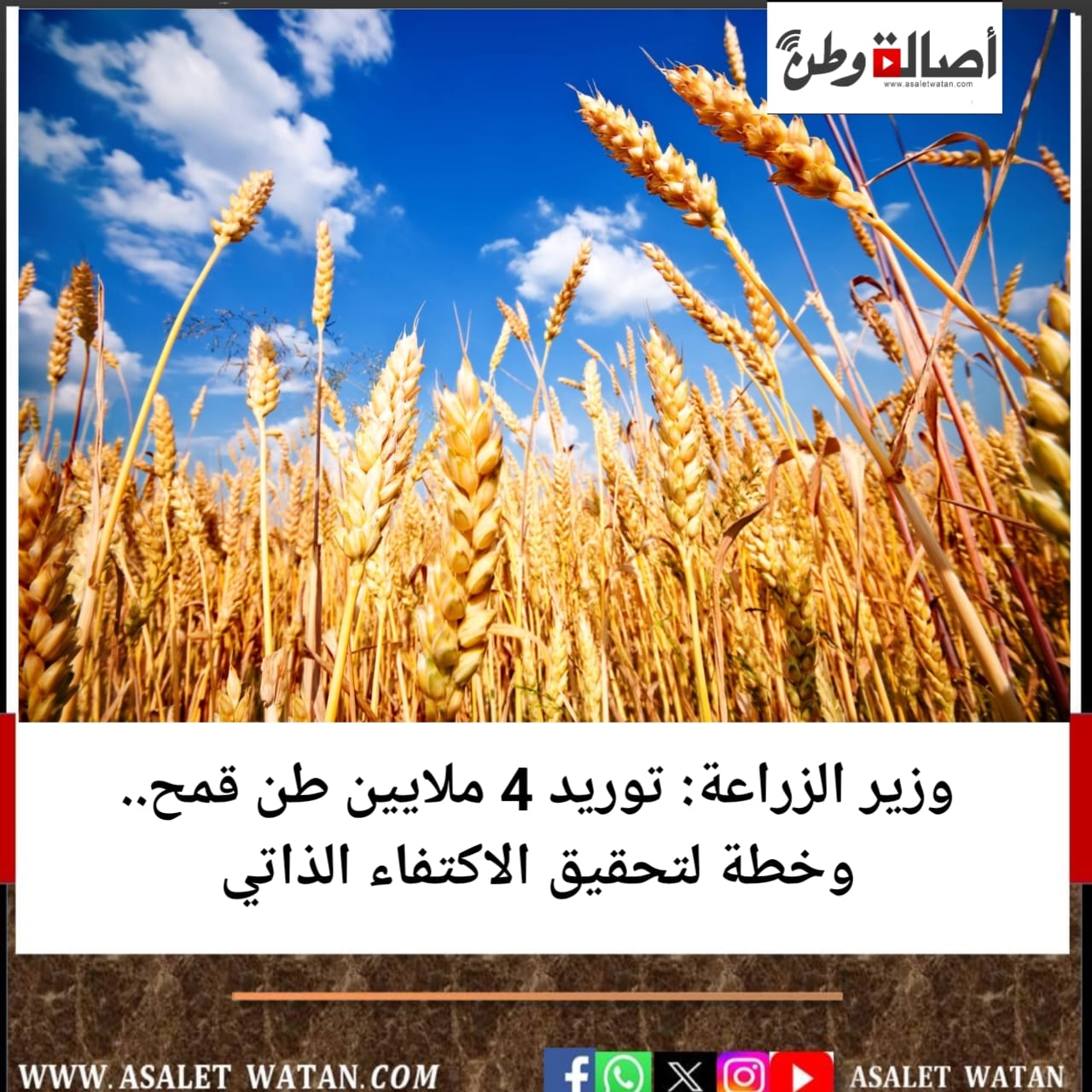 وزير الزراعة: توريد 4 ملايين طن قمح.. وخطة لتحقيق الاكتفاء الذاتي