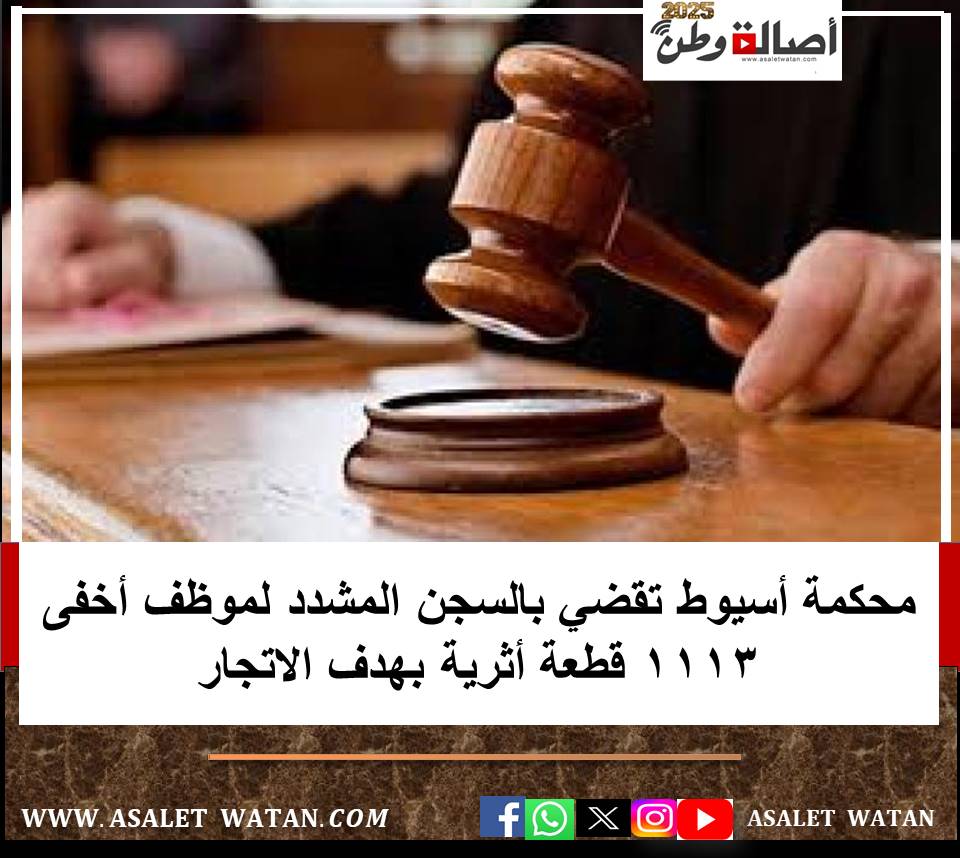 محكمة أسيوط تقضي بالسجن المشدد لموظف أخفى 1113 قطعة أثرية بهدف الاتجار