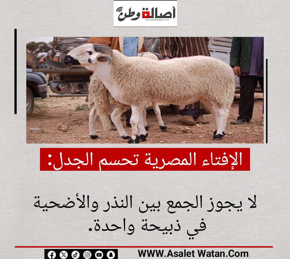 الإفتاء المصرية تحسم الجدل: لا يجوز الجمع بين النذر والأضحية في ذبيحة واحدة.