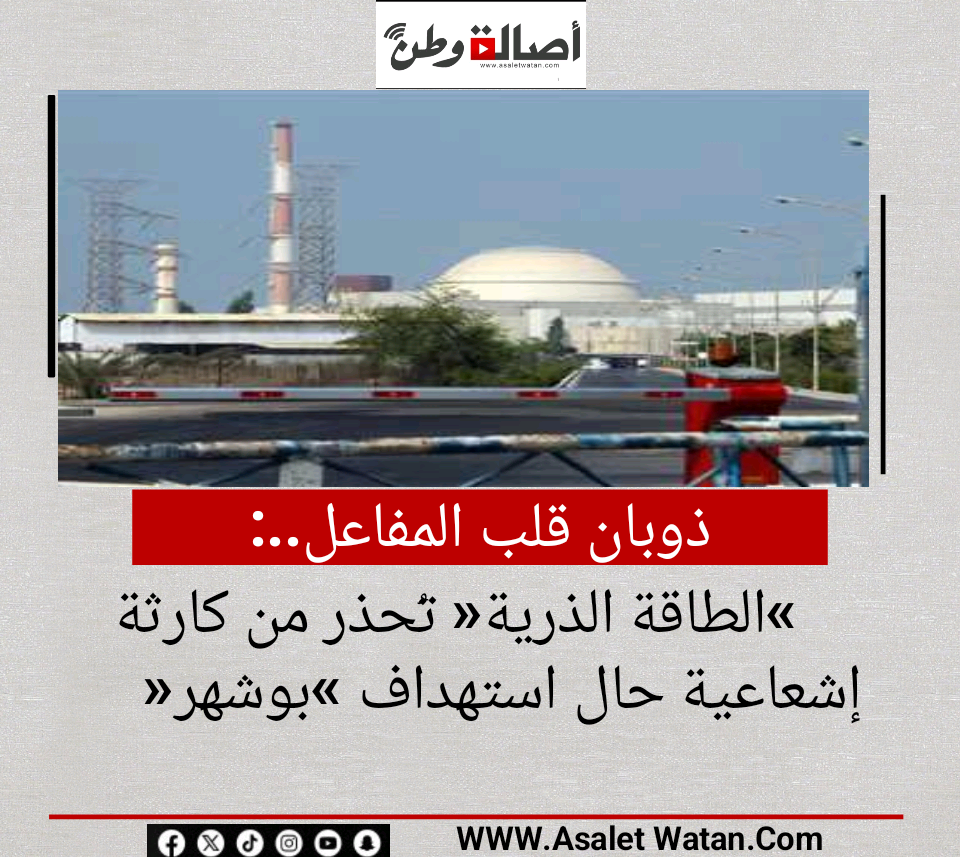 ذوبان قلب المفاعل».. «الطاقة الذرية» تُحذر من كارثة إشعاعية حال استهداف «بوشهر»