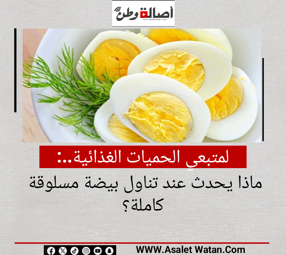 لمتبعي الحميات الغذائية.. ماذا يحدث عند تناول بيضة مسلوقة كاملة؟